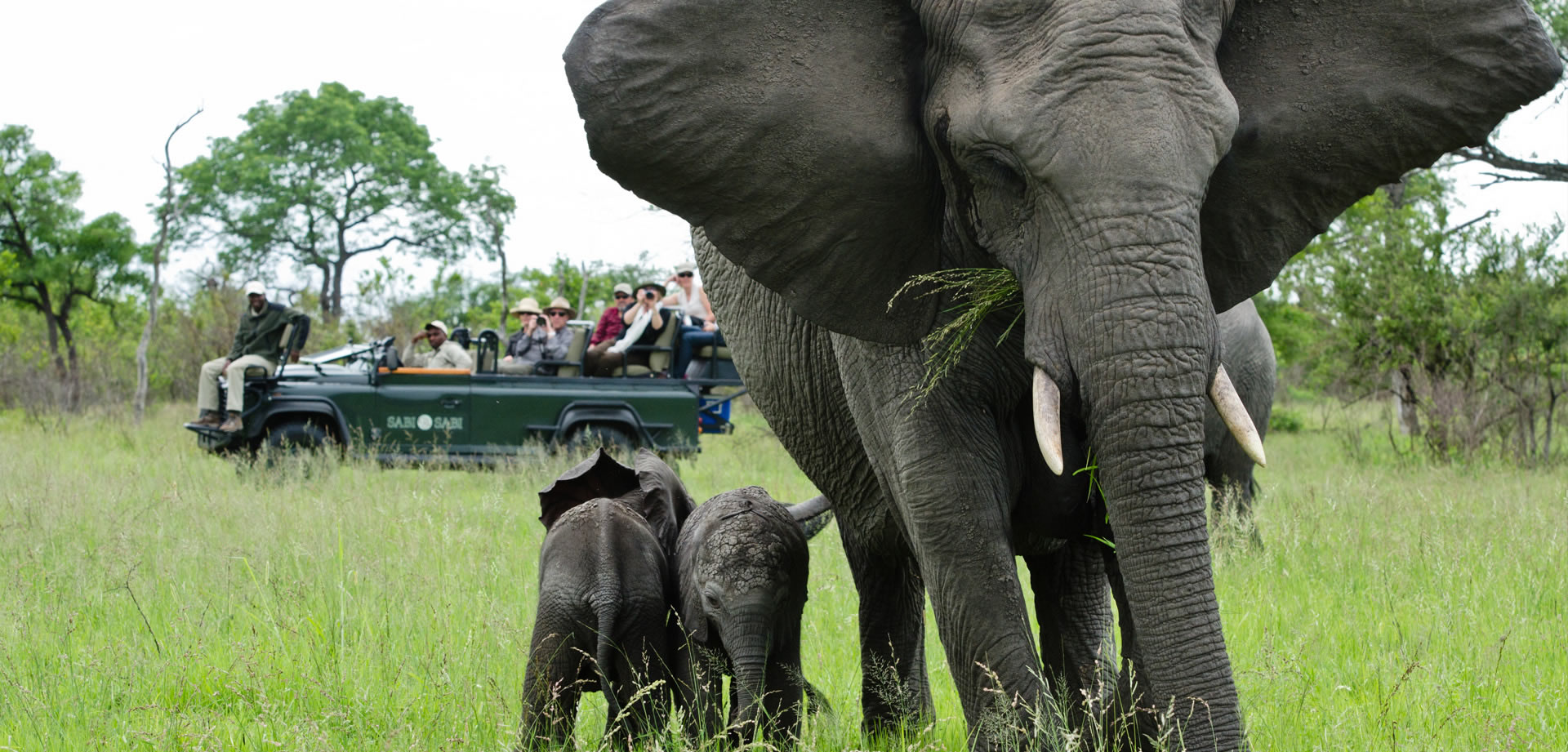 Exclusive Africa BOS 2620 Cover Image